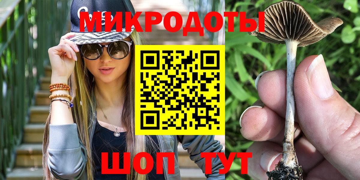 Серов  Псилоцибиновые грибы ЛСД  Вход с VPN  Галлюциногенные грибы Psilocybe 
